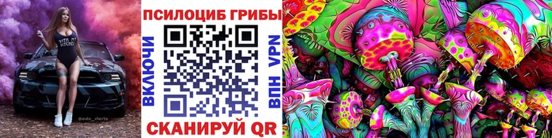 Галлюциногенные грибы GOLDEN TEACHER Курчалой
