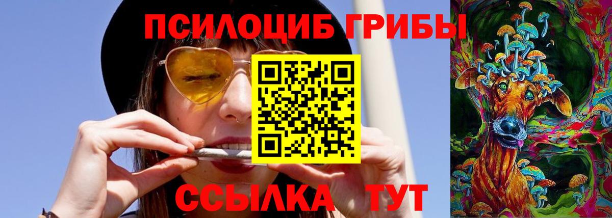 Псилоцибиновые грибы Cubensis  Галлюциногенные грибы мухоморы  Курчалой  Вход с VPN 